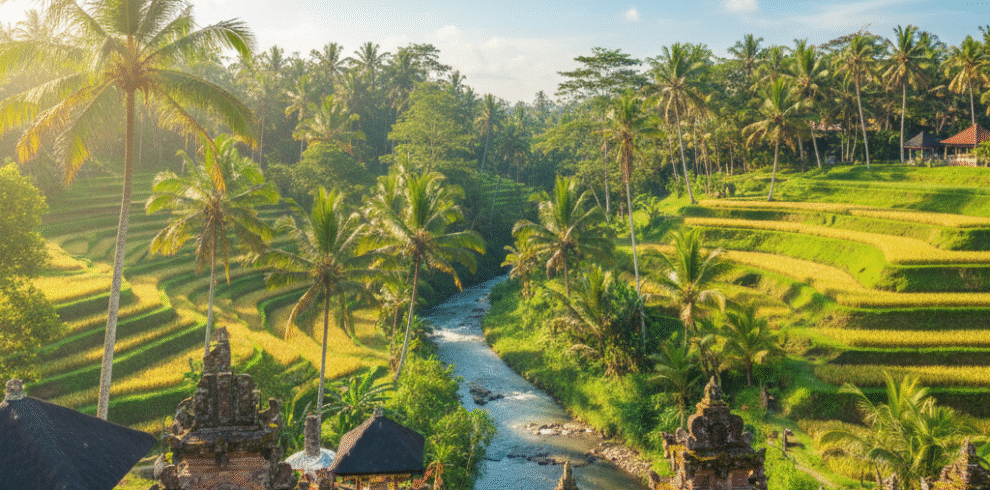 Gemini_Generated_Image_nrvlfonrvlfonrvl